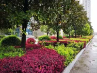 Wuyue International Hotel Hotels in Wuxue