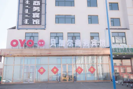 Bajal business hotel, right banner of new bajal tiger Отели в г. Шинэ-Барга-Юци