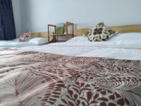 额尔古纳北纬五十度青年旅舍 - 北欧风情主题套房