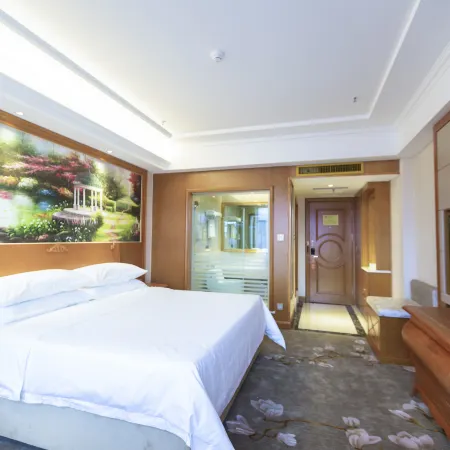 Vienna Hotel (Huocheng Qingshuihe)