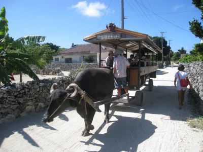 ホテル周辺 クラブメッド 石垣島の写真