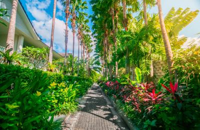 共有エリア モンティゴ リゾート スミニャックの写真