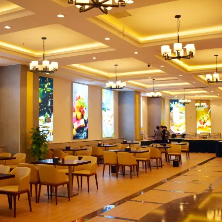Vienna Classic Hotel (Xincai Shenhua)