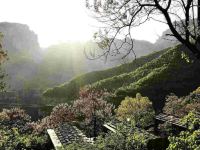林州天平山桃园度假村 - 其他