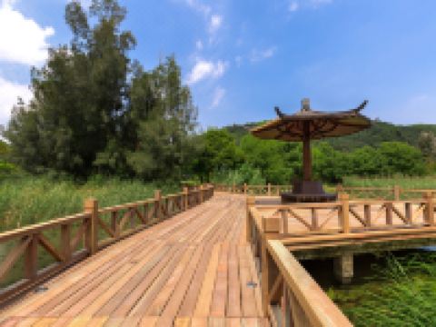 普陀山喜相逢民宿 - 酒店附近