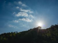 莫干山玥屹山居 - 酒店景观