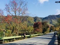 黟县塔川秋木居 - 酒店景观