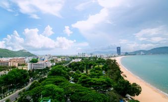 a view of a city with tall buildings , trees , and a beach in the background at Seagull Hotel
