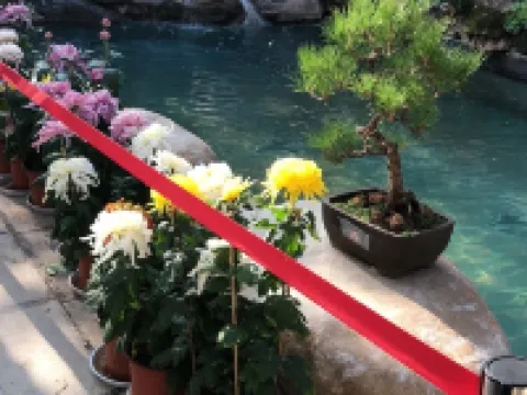 Tonghai Yuanheng Inn Hotels in Tonghai