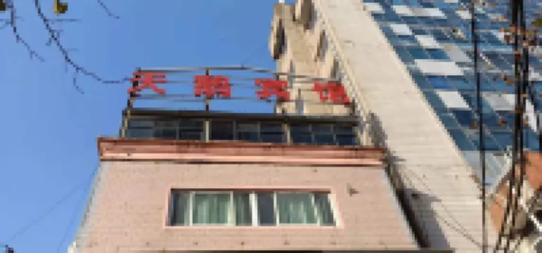 Zhoukou Swan Hotel
