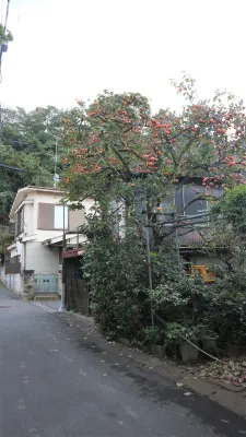 Sadie's Home Hotel dekat Yikuta Railway Station