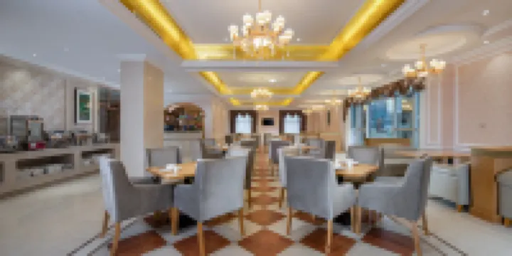 Vienna Hotel (Langzhong High-speed Railway Station)
