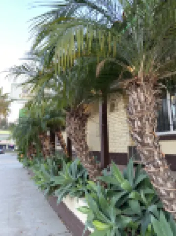 El Patio Inn - Near Universal Studios Hollywood