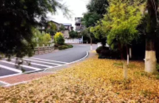 Changting Hotel Hotels in Changting