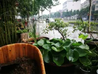 Songshanju Boutique Hostel Hotels near North China University of Water Resources and Electric Power Chinese Promotion Undergraduate Part