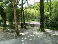 Xing'an Longtan Mountain Villa - Mountain view