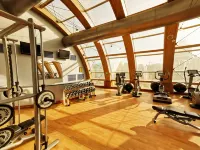 The Ritz-Carlton, Santiago - Fitnessstudio