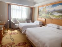 维也纳国际酒店(宝鸡高铁站店) - 标准家庭双床房
