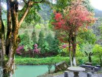 桂林十二滩度假酒店 - 花园