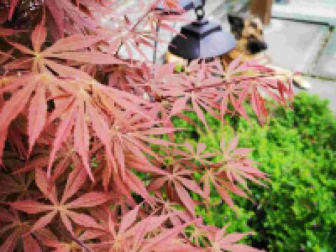 杭州泮月揽湖民宿 - 其他