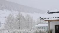 Tingshan Hostel Отели рядом с достопримечательностью «Пушуйский храм»