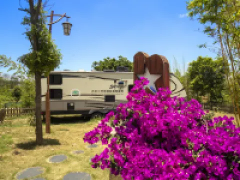 Zhenfeng Sanchahe Starry Sky Homestay Hotels in Zhenfeng