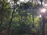 钟祥山居生活度假村 - 酒店附近