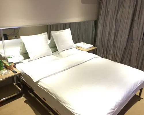 Friendship City New Town Hotel Hotels in Youyi