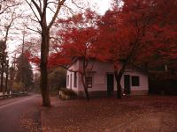 莫干山山里猫居 - 酒店附近