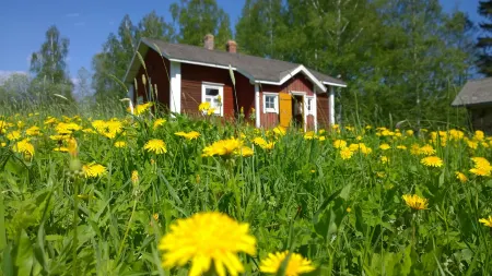 Oravi Villas Отели в г. Rantasalmi