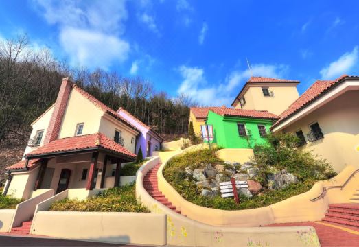 아트애견동반펜션 객실 및 반려견