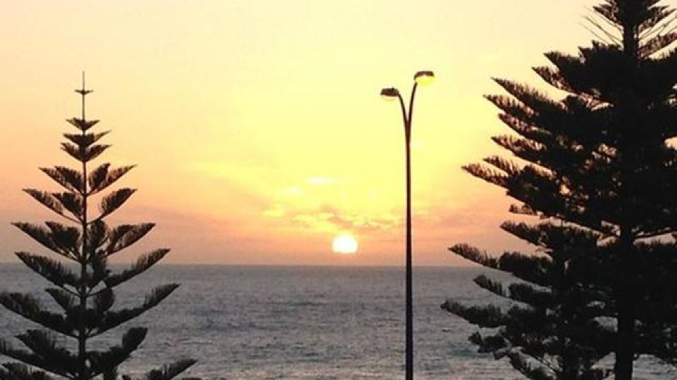 Scarborough Beach Front Resort - Shell 10