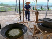 简阳三岔湖长岛天堂洲际酒店 - 其他