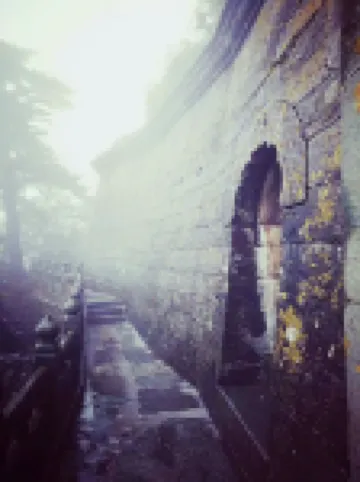 Wudangshan Tanluzhe Youth Hostel