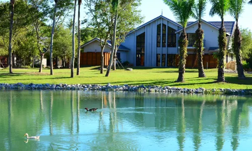 Bear Forest Villa