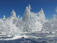 亚布力雪龙度假山庄 - 酒店附近