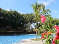 儋州蓝洋温泉度假村 - 室外游泳池