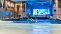 Emei Mountain ROYAL·Yuzquan Bay Hot Spring Hotel - Pool