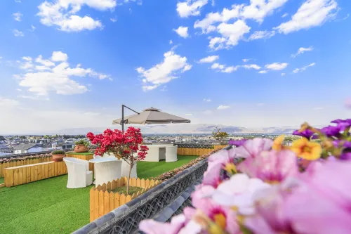 xiao yu er hotel - Evcil Hayvan Kabul Edilen Alan