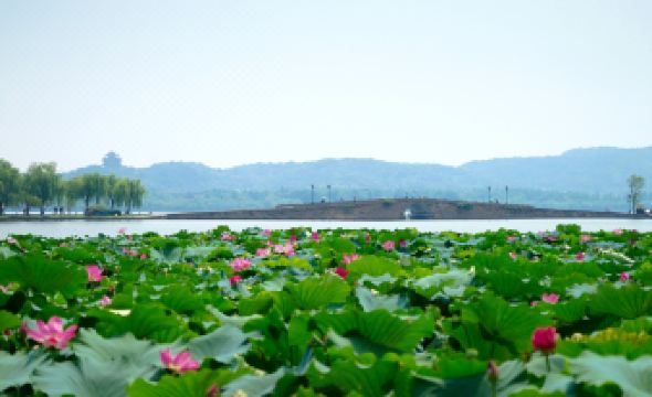 Scholars Hotel (Hangzhou West Lake Wulin Square Zhejiang University)