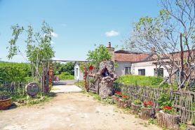 Forest Yard Guesthouse