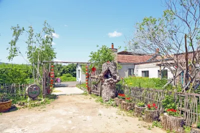 Forest Yard Guesthouse