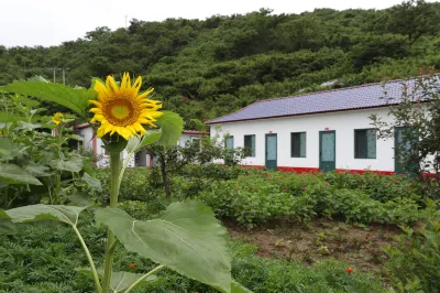 Kuandian Laojingou Farm Stay Hotels near Hekou Scenic Spot