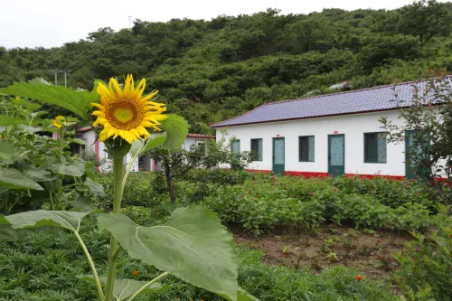 Kuandian Laojingou Farm Stay