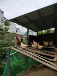 Xiyangyang Hotel