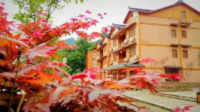 qing tian wang yuan yu zhuang