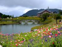 西岭雪山原山民宿 - 酒店附近