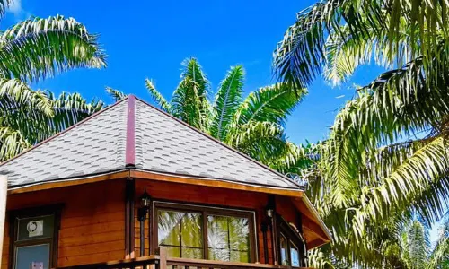 Perfect Forest Eco-Resort