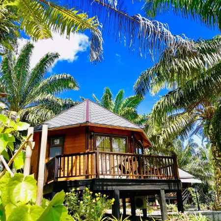 Perfect Forest Eco-Resort