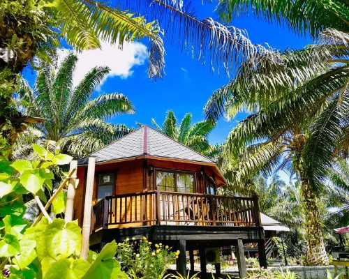 Perfect Forest Eco-Resort 仙本那酒店